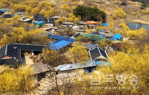 <사진> 구례산수유 마을. 남도방송 자료사진/구례 차범준기자