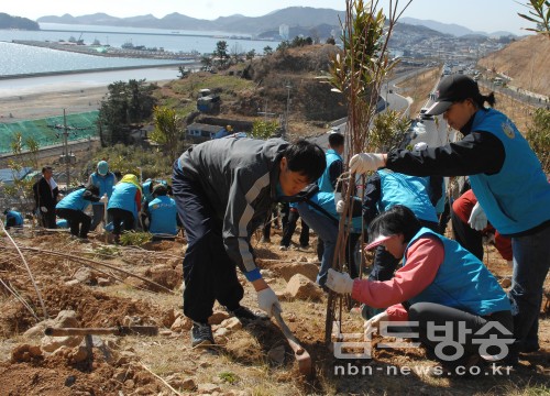여수시청 직원들과 시민들이 2012여수세계박람회장 인근 마래산에 나무를 심고 있는 모습. 사진 뒤쪽이 박람회장 부지.