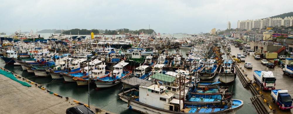 태풍을 피해 여수항에 피항중인 어선들.