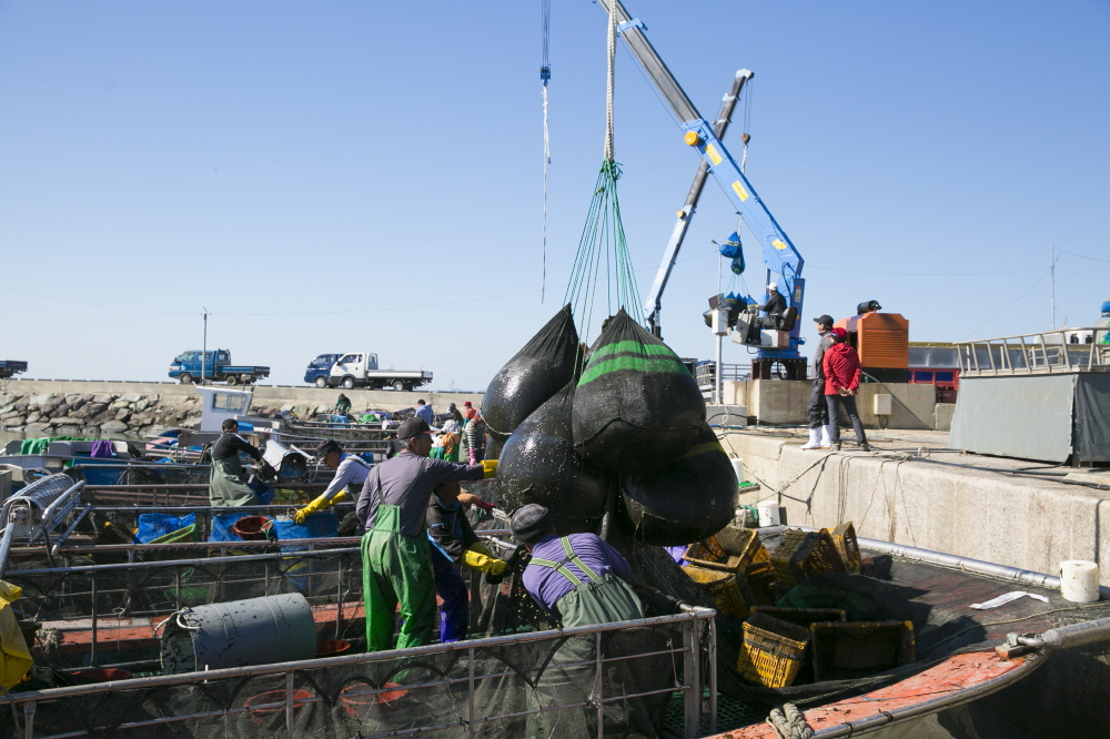 해남군이 도내 최초로 15톤급 어선 인양기를 설치한다.