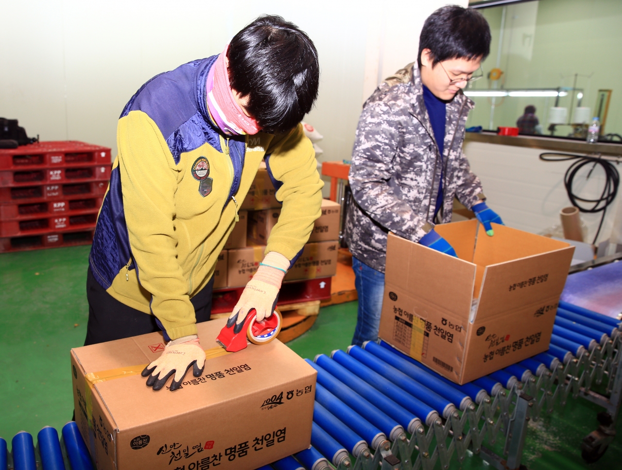 북신안농협에서 근무하는 김진규‧홍신우(사진 왼쪽) 씨가 천일염 제품을 포장하고 있으며, 김명재 씨가 사무업무에 열중하고 있다.