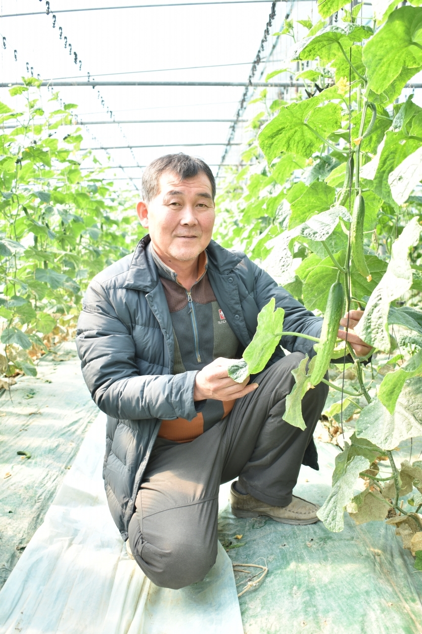 순천에서 친환경 유기농 오이 재배로 건강과 소득을 한꺼번에 잡은 김태현(58) 유기농 명인.