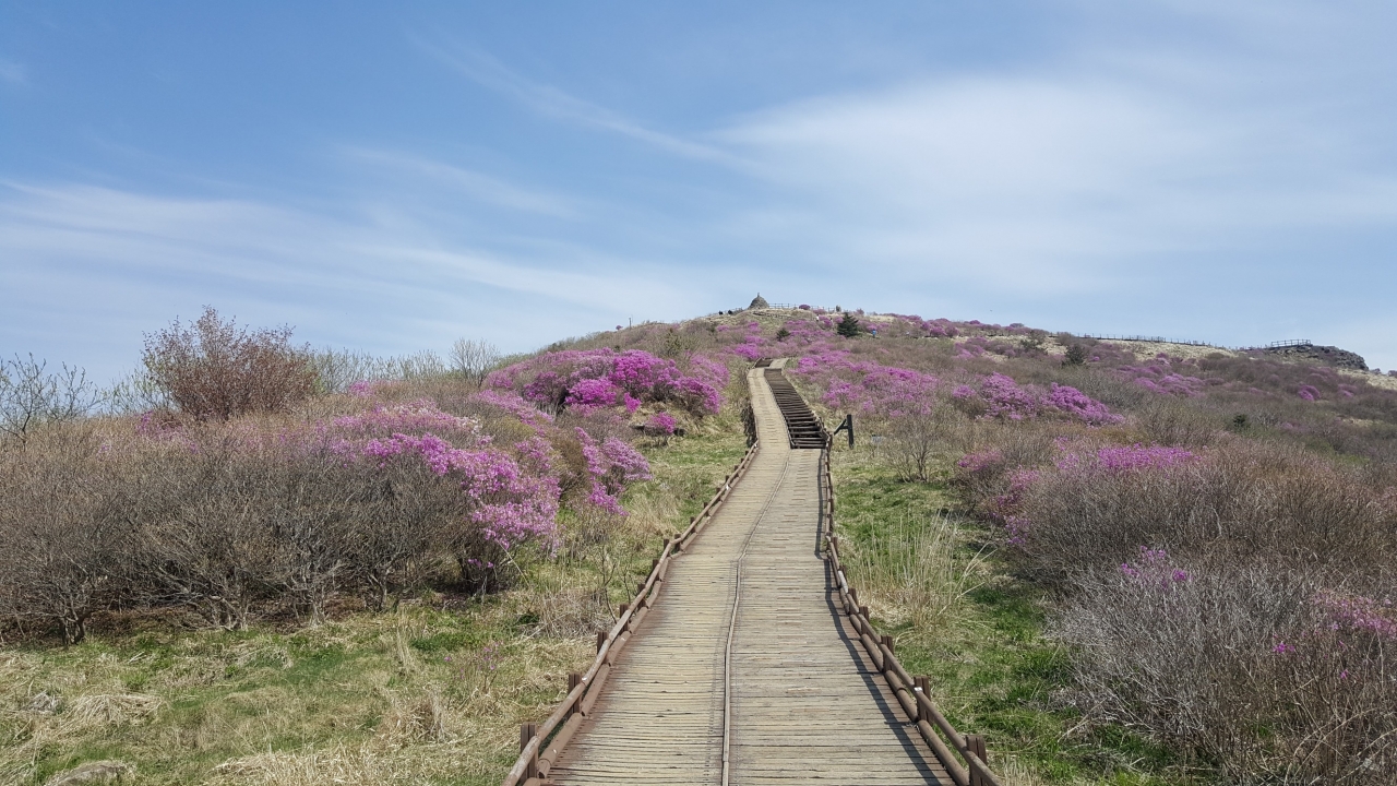 지리산 노고단의 봄 풍경.
