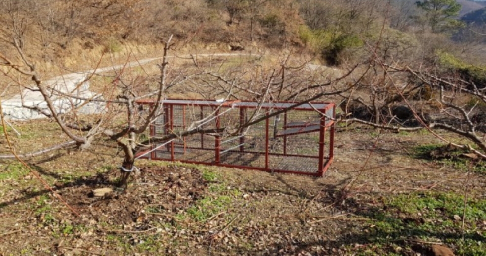 전남 순천시 상사면 한 농가에 설치된 멧돼지 포획 트랩. 출처-대성엔팝 블러그