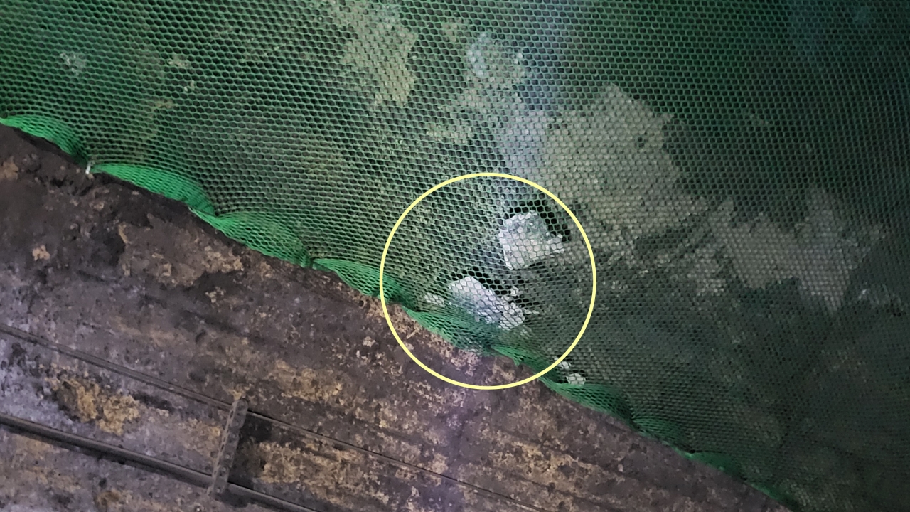 여수해양레일바이크 운행 구간인 마래터널 곳곳에서 떨어진 낙석이 임시방편으로 터널 천정에 설치해 놓은 그물망에 아슬하게 매달려 있다. (사진=송하진 여수시의원)