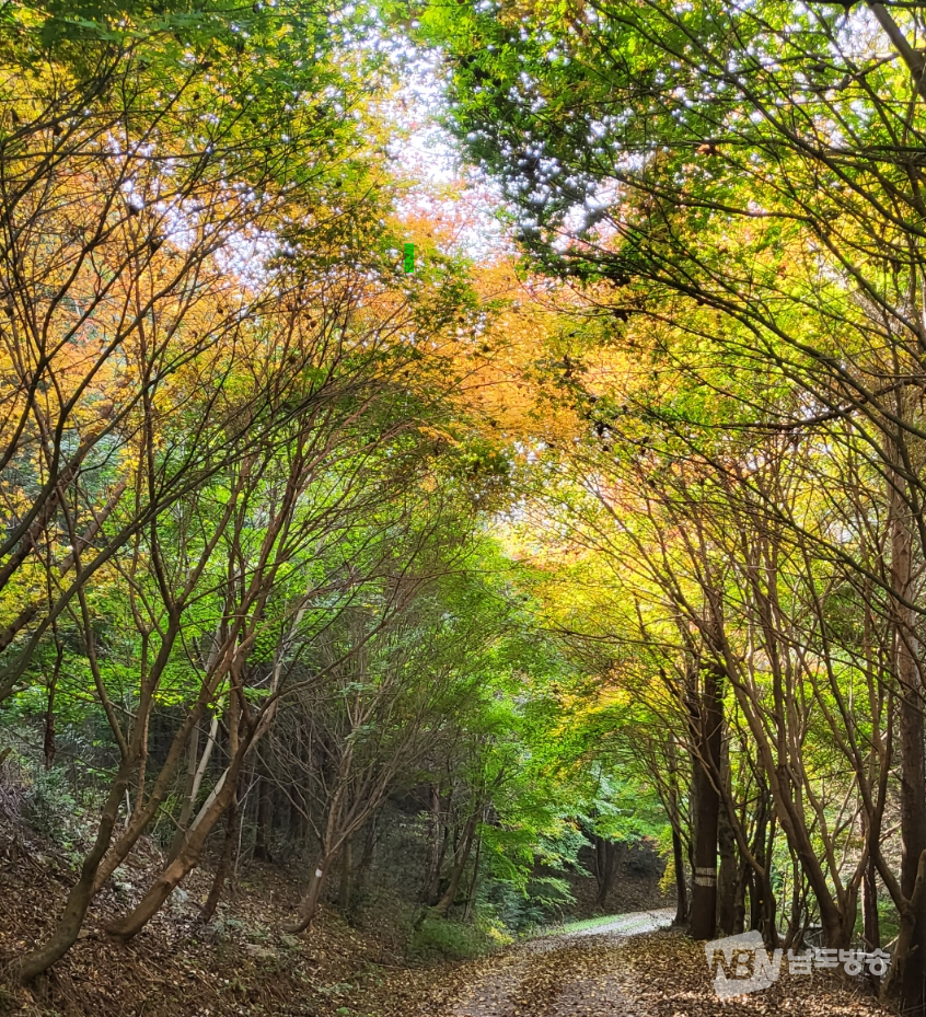 ▲전남 가을철 걷고 싶은 길- 영암 백룡산 숲길